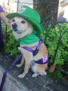 Dora mascotte